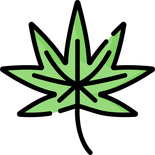 Cannabis cannabis botanical weed icon Cannabis cannabis botanical weed icon