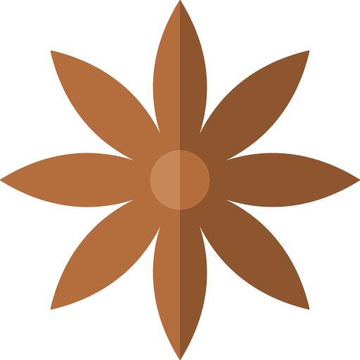 Anise asian spice anise icon