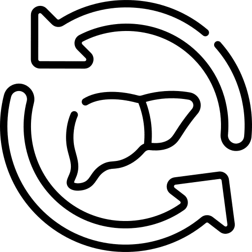 Metabolism metabolism biochemical digestion icon