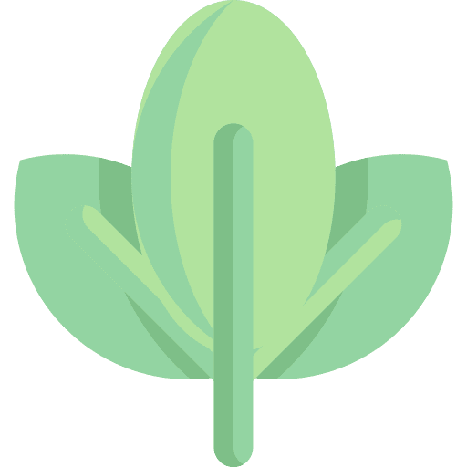 Organic leaf farming and gardening vegetarian icon