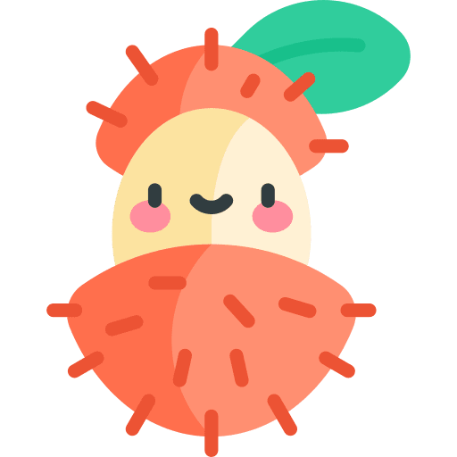 Rambutan healthy vegan fruit icon Rambutan healthy vegan fruit icon