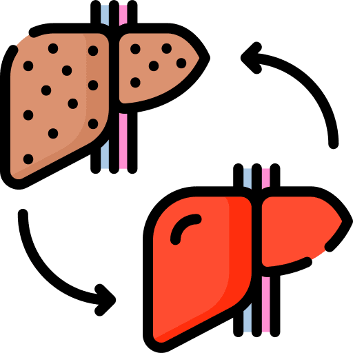 Transplant healthcare and medical internal human body icon Transplant healthcare and medical internal human body icon