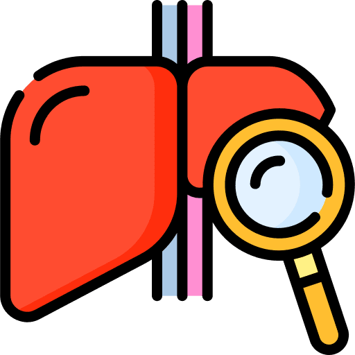 Revision liver revision check icon Revision liver revision check icon