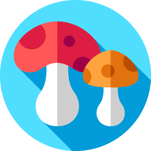 Mushroom mushroom healthcare and medical miscellaneous icon