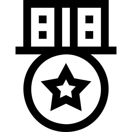 Medal winner seo and web award icon