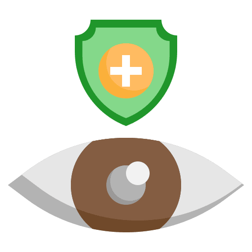 Vision protection vision shield icon Vision protection vision shield icon
