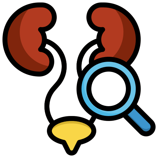 Kidney health magnifying glass anatomy icon Kidney health magnifying glass anatomy icon