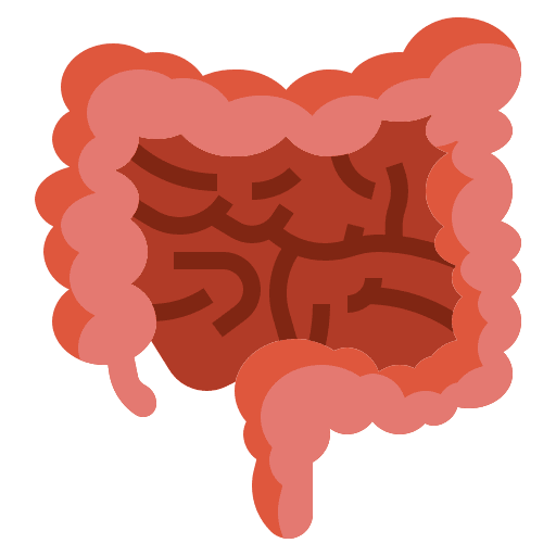 Colon medical healthcare and medical appendix icon