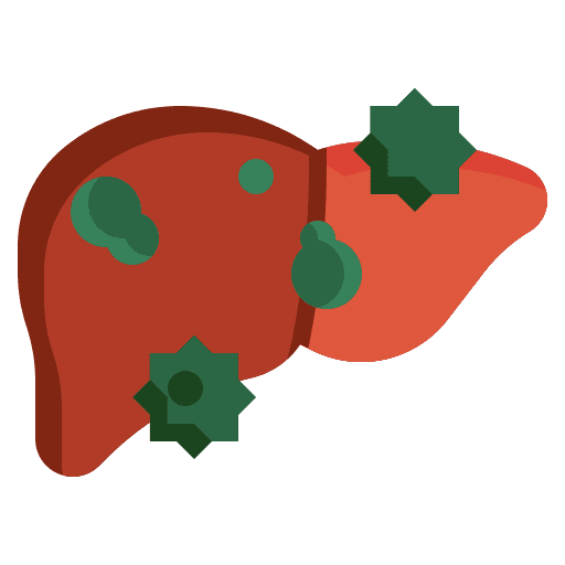 Hepatitis hepatitis cirrhosis anatomy icon Hepatitis hepatitis cirrhosis anatomy icon
