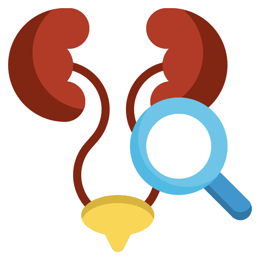Kidney healthcare and medical anatomy health icon Kidney healthcare and medical anatomy health icon