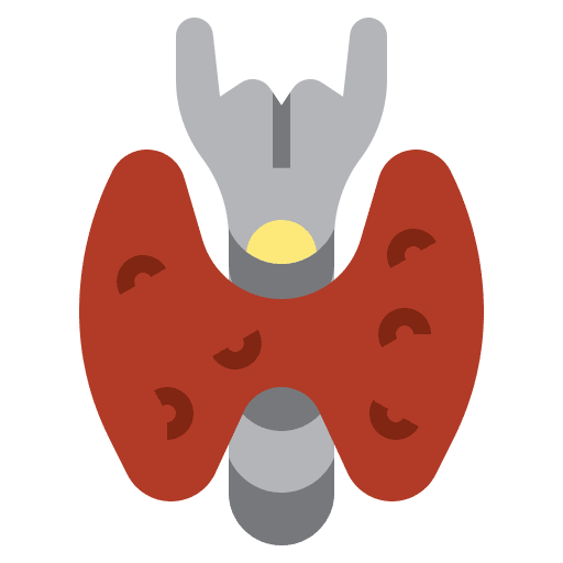 Thyroid thyroid gland endocrine icon Thyroid thyroid gland endocrine icon