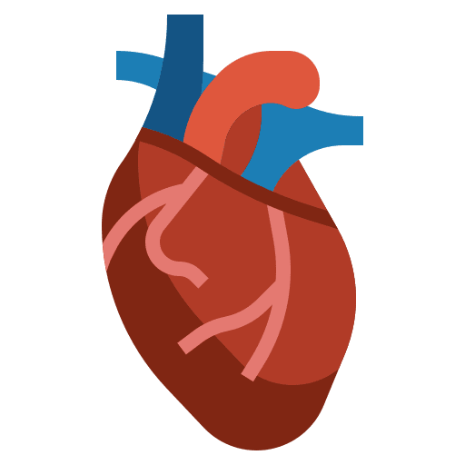 Heart heart organ medical icon Heart heart organ medical icon