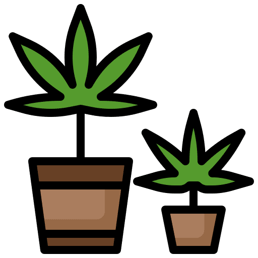 Hydroponic marijuana hydroponic watering icon Hydroponic marijuana hydroponic watering icon