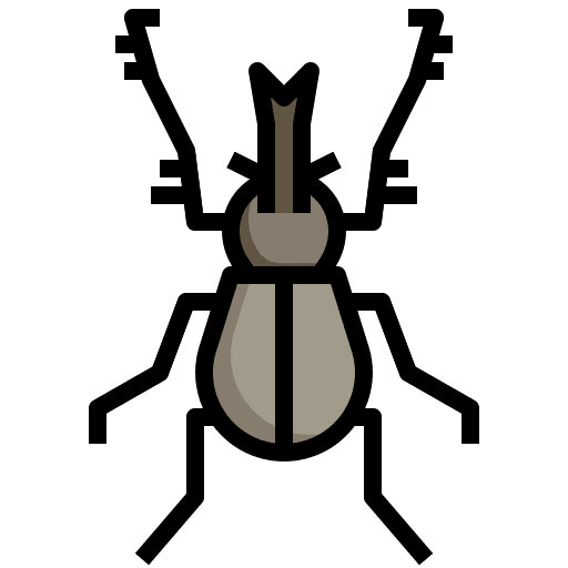 Bug bug interface insect icon Bug bug interface insect icon