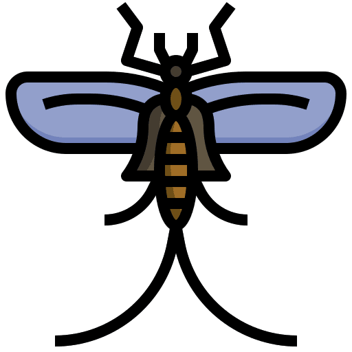 Fly problem insect fly icon Fly problem insect fly icon