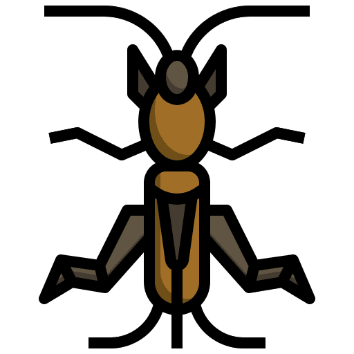 Leaf insect insect animal animals icon Leaf insect insect animal animals icon