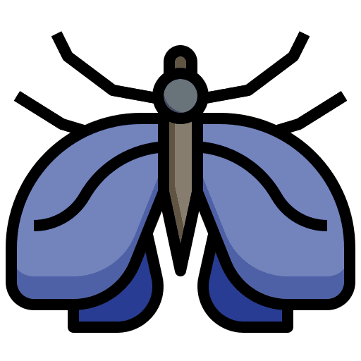 Moth moth protection animal icon Moth moth protection animal icon