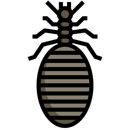Bug animals protection problem icon Bug animals protection problem icon