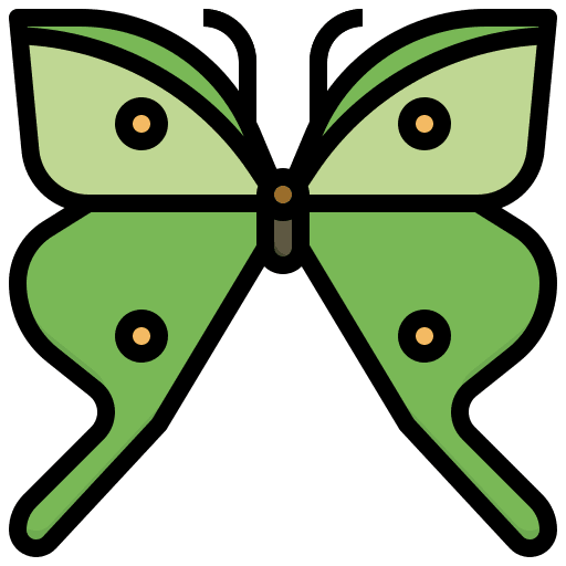 Butterfly insect symbol butterfly icon Butterfly insect symbol butterfly icon