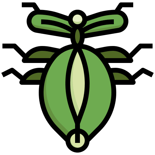 Leaf insect protection leaf insect symbol icon Leaf insect protection leaf insect symbol icon