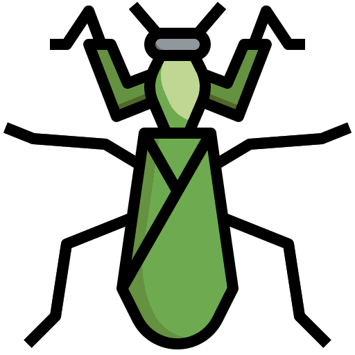 Mantis protection insect animals icon Mantis protection insect animals icon