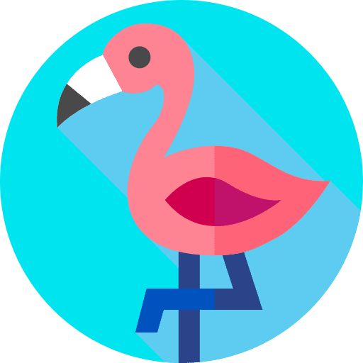 Flamingo bird zoo flamingo icon
