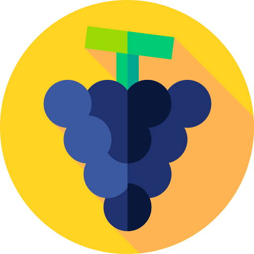 Grapes grape viburnum fruit bouquet icon