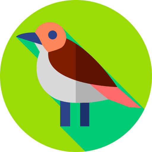 Rufous hornero rufous hornero animal nature icon Rufous hornero rufous hornero animal nature icon