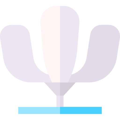 Floralis generica floralis generica argentina nature icon Floralis generica floralis generica argentina nature icon