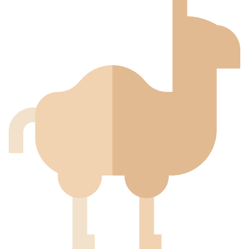 Camel camel wildlife tropical icon Camel camel wildlife tropical icon