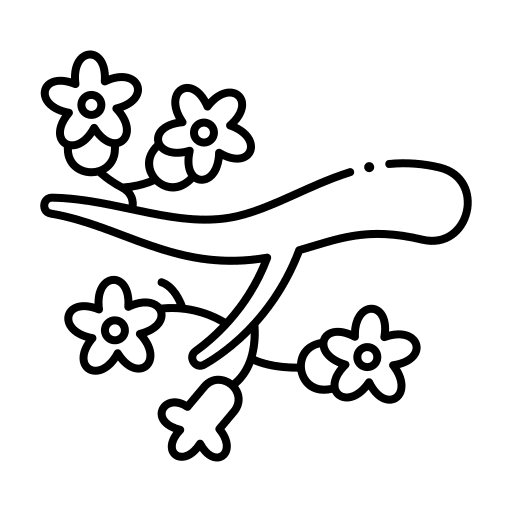 Branch spring nature flower icon