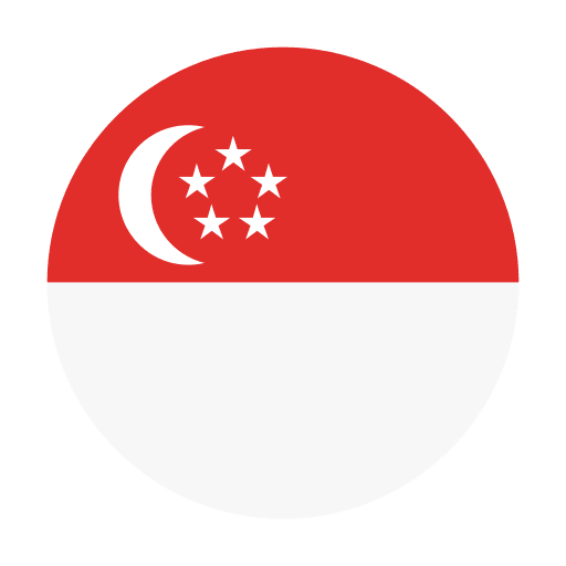 Singapore flags flag country icon