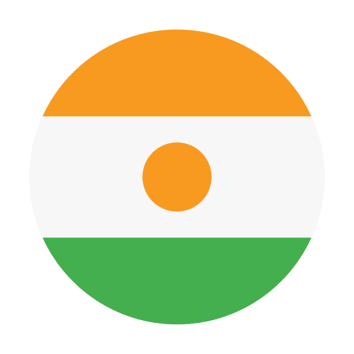 Niger flags national country icon Niger flags national country icon