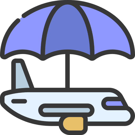 Travel insurance security check plane icon