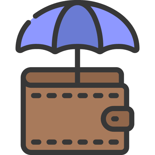 Payment protection wallet money payment icon