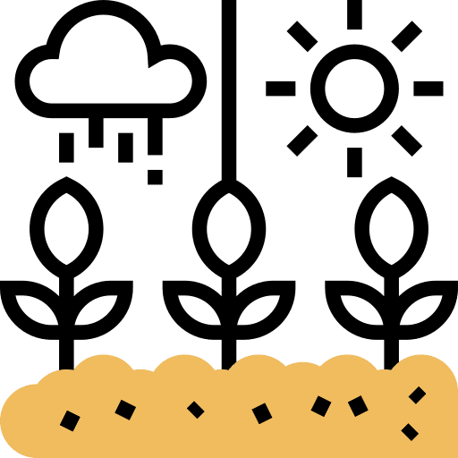 Climate weather rainy season icon
