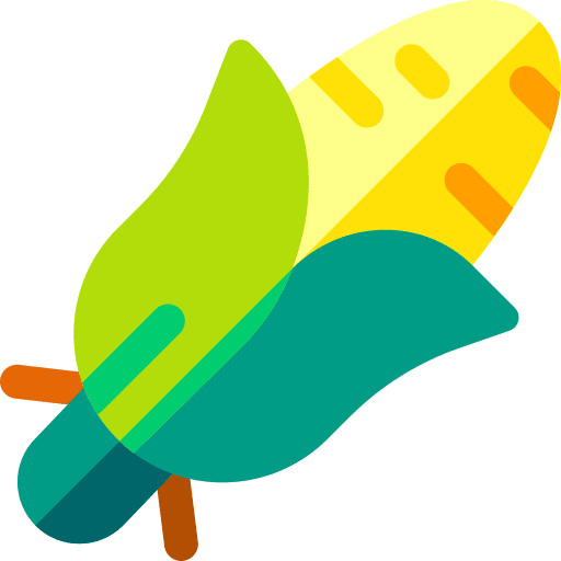 Corn food healthy food organic icon Corn food healthy food organic icon