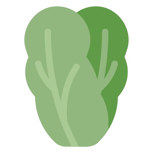 Cabbage cabbages food and restaurant cabbage icon