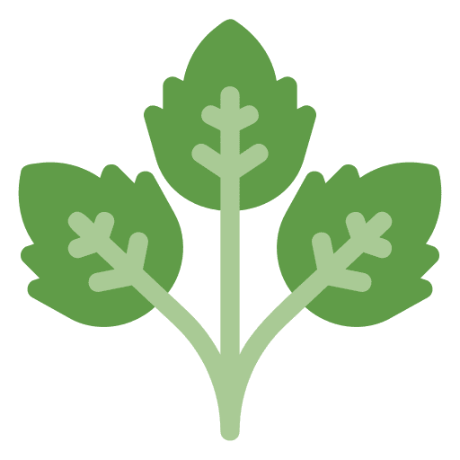 Parsley parsley healthy food vegetable icon