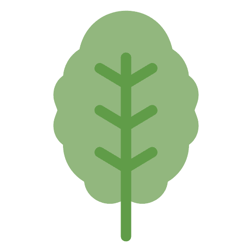 Spinach vegan vegetarian food icon