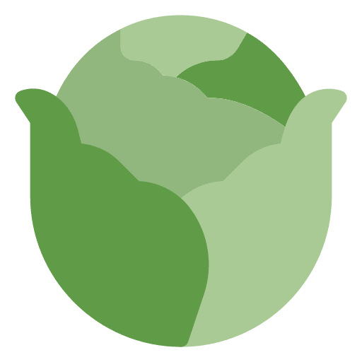 Cabbage organic healthy food vegetarian icon Cabbage organic healthy food vegetarian icon
