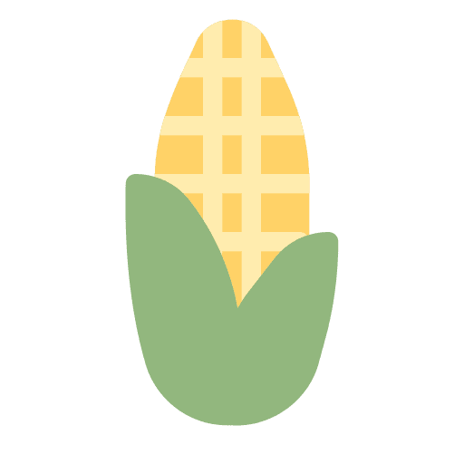 Corn farming and gardening vegan vegetable icon Corn farming and gardening vegan vegetable icon