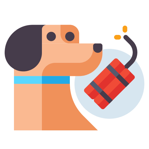 Bombs bombs detecting bomb icon