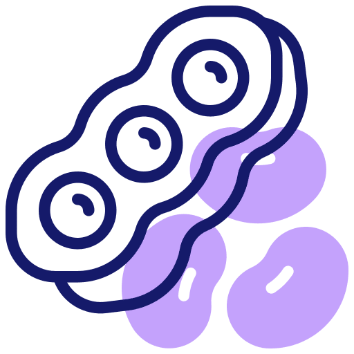 Beans bean healthy food beans icon