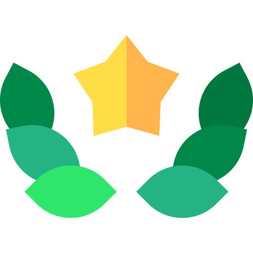 Star success badge insignia icon Star success badge insignia icon