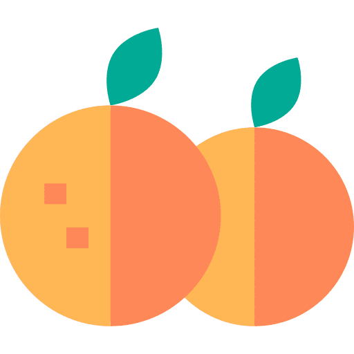 Oranges healthy food vegan vegetarian icon Oranges healthy food vegan vegetarian icon