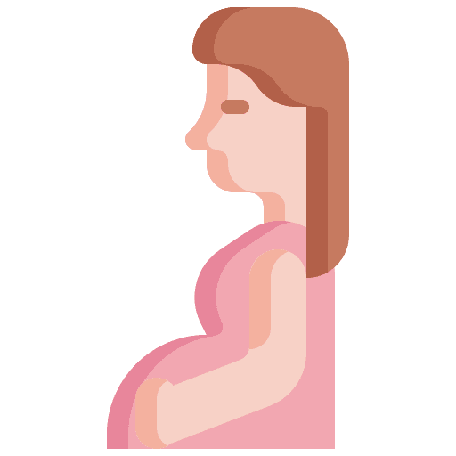 Pregnancy gestation healthcare and medical baby icon Pregnancy gestation healthcare and medical baby icon