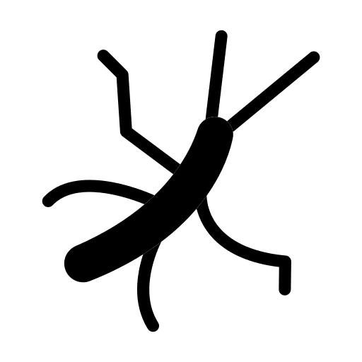 Bug bug animals stick insect icon