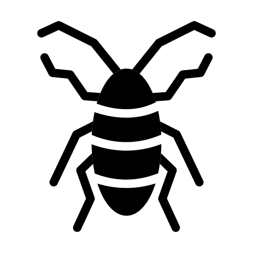 Cicada entomology animals bug icon