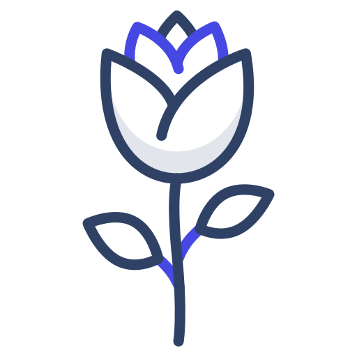 Rose botanical love and romance rose icon Rose botanical love and romance rose icon